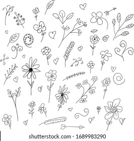 doodle sketch hand drawn flower vector element