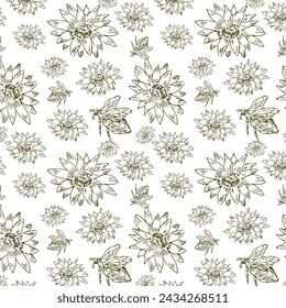 doodle sketch of honey flowers isolated. Vector illustration can used for botanical design, posters and print for interior. Retro vintage illustration camomile and sunflower outline