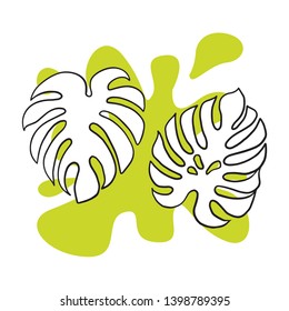 Doodle sketch of monstera leaf