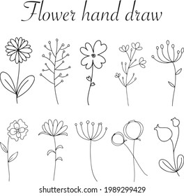 Dibujo de Doodle Colección de elementos Flores y hojas Ilustración vectorial