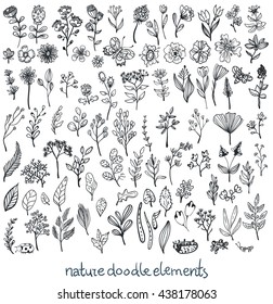 Doodle Sketch nature collection of elements, flowers, leaves and insects, Vector