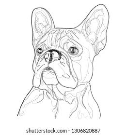 Doodle Sketch  og Vector Illustration. Black and white vector illustration of dog. 