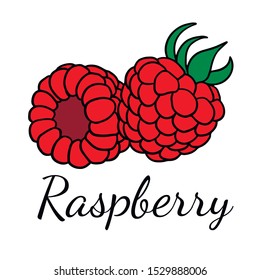  Doodle sketch raspberries, hand drawn berries illustration.