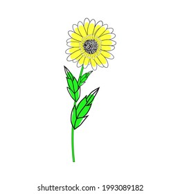 Doodle sketch sunflower with color fill. Simple design suitable for making greeting cards. Vector illustration.