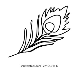 Doodle sketch vector illustration of peacock tail feathers.