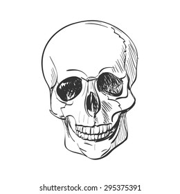 doodle skull, isolated on the white background, excellent vector illustration, EPS 10