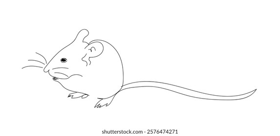 Doodle Small Cute Mouse Animal Line Drawn Contour Sketch. Little Mouse Pet Symbol Icon. Cute Line Outline Mouse Portrait Logo Isolated On White. Hand made vector not AI 