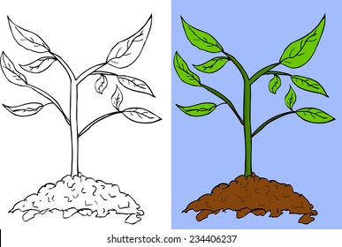 Doodle Small Plant  
