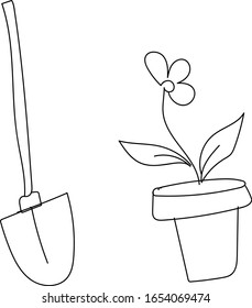 Espada de perro y flor en una olla
