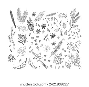 Doodle spices set. Different food ingredients collection on white background