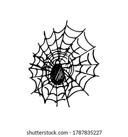 Doodle spider illustration with spider web in vector. Halloween holiday symbols. Design for halloween decorations isolated  on white background.