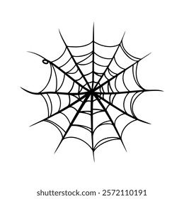 Doodle spider web icon on white background.