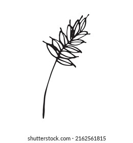 Espinilla de trigo. Negro sobre blanco. Ilustración del vector