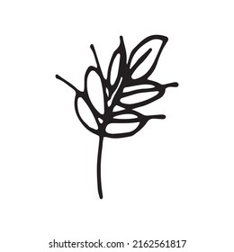 Doodle spikelet of wheat. Black on white. Vector illustration