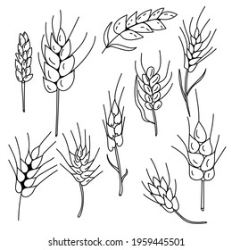 Doodle spikelets set, fancy ornate spikelets of various shapes and sizes vector illustration for design