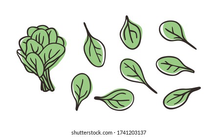 Doodle Spinach. Hand Drawn Stylish Fruit And Vegetable. Vector Artistic Drawing Fresh Organic Food. Summer Illustration Vegan Ingrediens For Smoothies