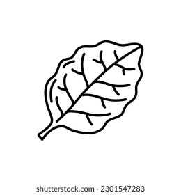 Doodle spinach. Hand drawn vegetable. Vector artistic drawing fresh organic food.