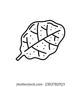 Doodle spinach. Hand drawn vegetable. Vector artistic drawing fresh organic food.