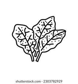 Doodle spinach. Hand drawn vegetable. Vector artistic drawing fresh organic food.