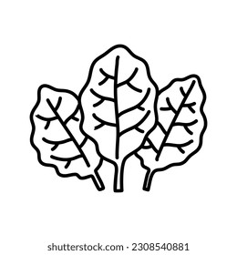 Doodle spinach. Hand drawn vegetable. Vector artistic drawing fresh organic food.
