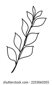 Doodle of spring twig isolated on white background. Hand drawn vector illustration of tree branch with leaves. Good for coloring book or botanical design.