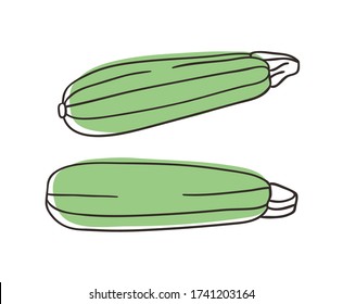 Doodle squash. Hand drawn stylish fruit and vegetable. Vector artistic drawing fresh organic food. Summer illustration vegan ingrediens for smoothies