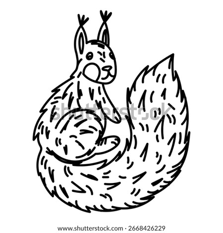 Doodle squirrel hand drawn. Animal living in forest. Animals in nature. Graphics, engraving, shading. Drawing in black ink, marker, liner for designing postcards, packaging. Picnic, tourism, hiking