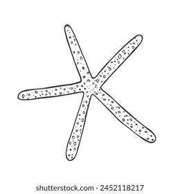 Doodle starfish, hand-drawn sea symbol. Five-finger organism painted by ink, pen. Line, minimalism. Simple sketchy icon. Isolated.