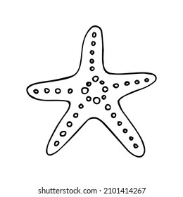 Doodle starfish sea in hand drawn style on white background. Starfish design vector illustration isolated element for summer natural color design with texture.