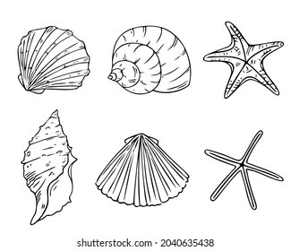 Doodle starfish and seashells set, hand-drawn sea symbols. Fossils painted by ink, pen. Line, minimalism. Simple sketchy icons. Isolated. Vector illustration.