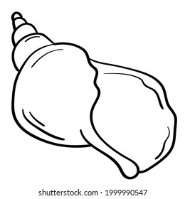 Doodle sticker cute seashell on the beach