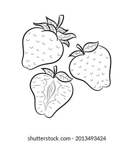 Doodle Strawberry fruit vector illustration, with hand drawn sketching style