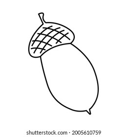 Doodle style acorn. For decorating postcards, covers, texts. Vector outline illustration. Isolated on a white background