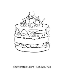 Doodle style birthday cake and cake slice illustration in vector format suitable for web, print, or advertising use. cake vector sketch illustration