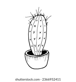 Doodle style cactus on isolated white background.Vector illustration.