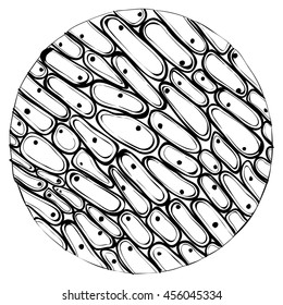 Doodle style cell illustration in vector format. The view from the microscope