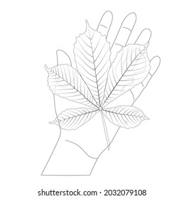 Kastanienblatt im Doodle-Stil auf der Palme. Vektorgrafik.