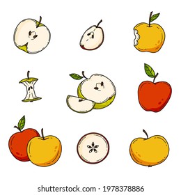 Doodle style color apple set. Fruit set. Vector illustration isolated on background.