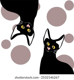 Doodle style drawing of black and white cat, head swap, happy cat character vector illustration.