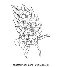 dibujo estilo doodle estilo panda flor flor flor flor patrón de diseño de líneas de arte
