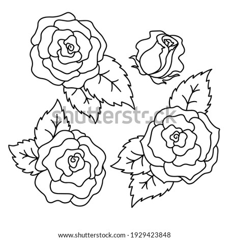 doodle style drawings, linear image in black, a set of flowers of roses, isolate on a white background