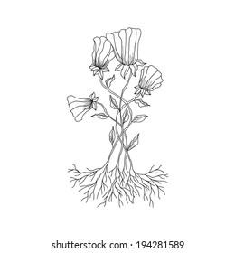 Doodle style flower rose. Vector illustration.