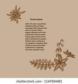 doodle style frame walnut ink on beige background