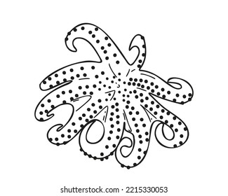 Doodle style fresh octopus. Hand drawn. Vector illustration