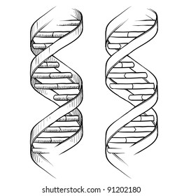 Doodle style genetic DNA double helix illustration in vector format suitable for web, print, or advertising use.