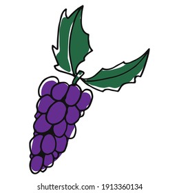 Doodle style grapes, color vector illustration.