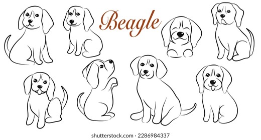 doodle style hand drawn, Cute cool beagle puppy set. Collection of flat dog in various poses and actions. Vector illustration of domestic pet behavior