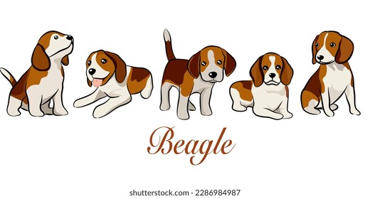 estilo doodle dibujado a mano, juego de cachorro de beagle fresco. Colección de perros planos en diferentes poses y acciones. Ilustración vectorial del comportamiento de mascotas domésticas