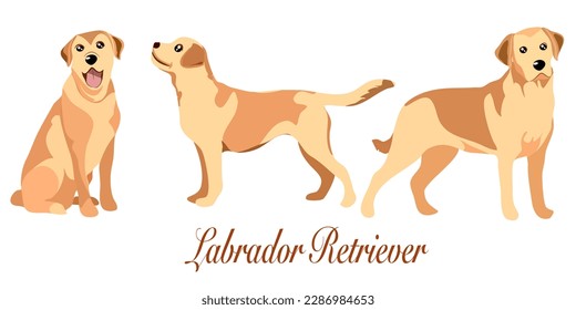 doodle style hand drawn, Golden retriever. Funny labrador baby pet, cute labradors sitting jump run dog sit cartoon adult and puppy retrievers doggy poses puppys running, set icon vector illustration.