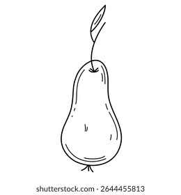 Doodle style hand drawn pear with leaf. Outline vector illustration. Isolated simple editable stroke element
